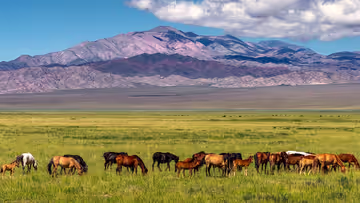 World’s best tourism destination for 2015? It’s Ethiopia Ethiopia was named as the world's best destination for tourists in 2015 by the European Council on Tourism and Trade. What makes the country unique? Ethiopia is home to nine UNESCO World Heritage Sites